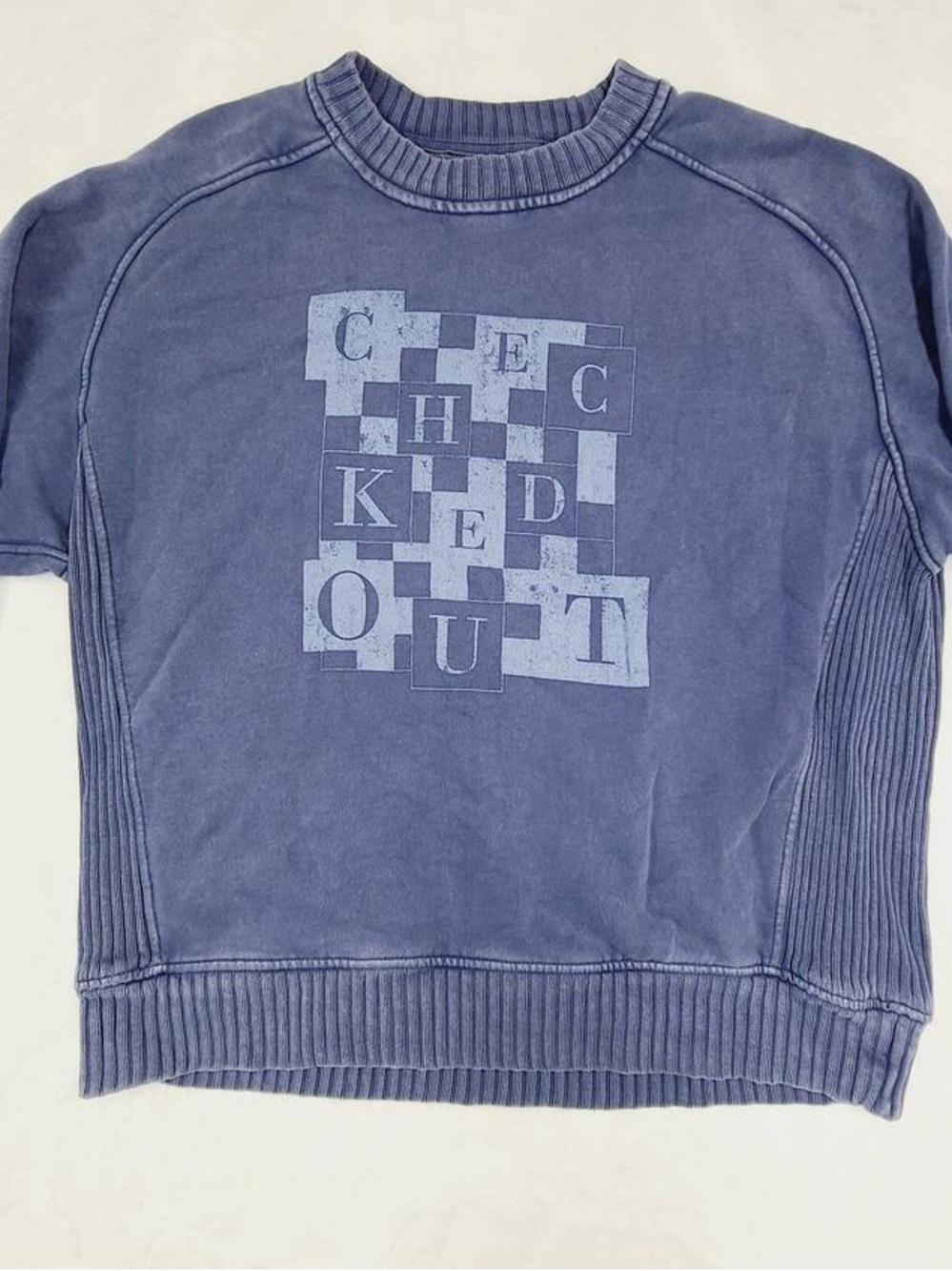aerie Blue Graphic Crewneck Sweater